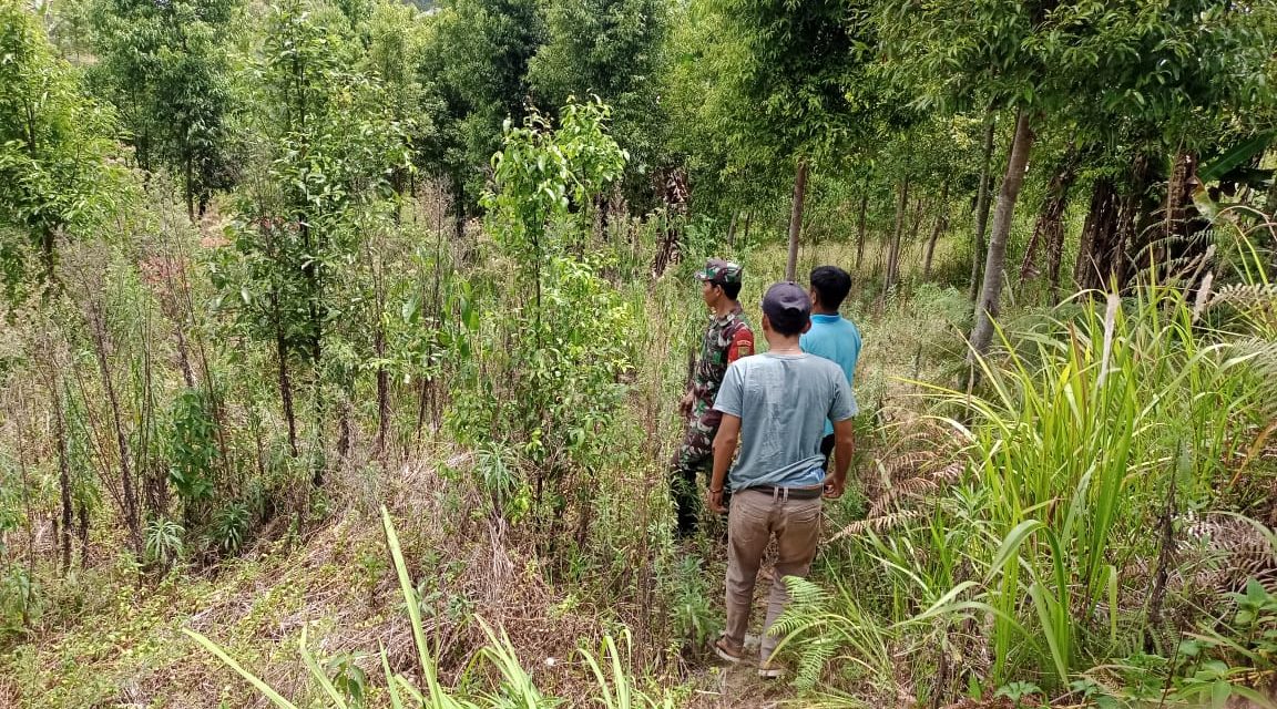 Babinsa Lakukan Upaya Sosialisasi Karhutla Dengan Rutin Patroli Bersama Warga Desa