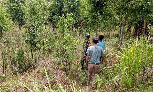 Babinsa Lakukan Upaya Sosialisasi Karhutla Dengan Rutin Patroli Bersama Warga Desa