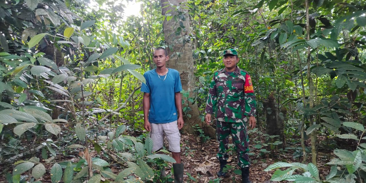 Cegah karhutla Babinsa lakukan patroli.