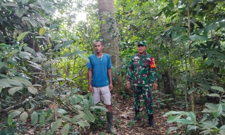 Cegah karhutla Babinsa lakukan patroli.