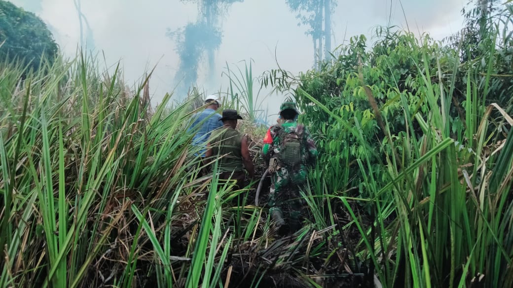 Kerja Keras Koramil 03/Pauh Berhasil Kendalikan Kebakaran di Lahan Gambut