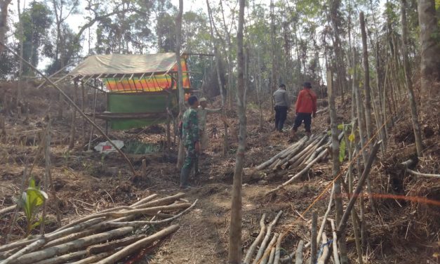 Babinsa Koramil 01/Batang Asai Gelar Patroli Karhutla di Desa Muara Air Dua untuk Cegah Kebakaran Hutan
