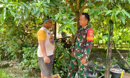 Masuki Musim Kemarau, Babinsa Koramil 420-06/Muara Siau Himbau Warga Cegah Karhutla