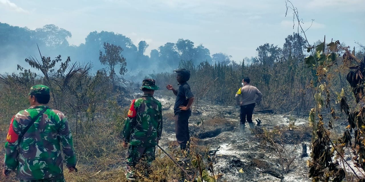 Memastikan Titik Api Benar-Benar Padam Babinsa Dan Masyarakat Stand By Di Lokasi Bekas Karhutla