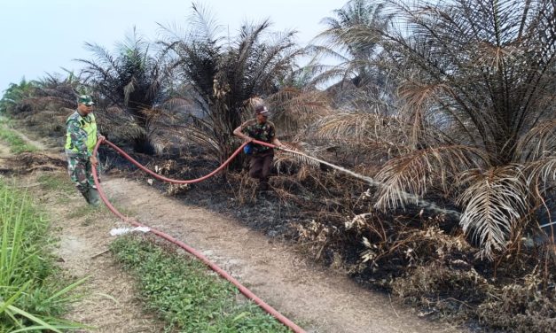 Kolaborasi TNI, Polri, dan Masyarakat, Babinsa Pimpin Pemadaman Karhutla di Mandiangin