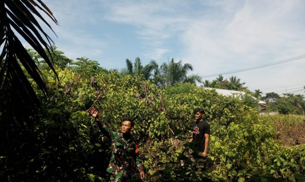 Babinsa Intensifkan Patroli Karhutla: Upaya Pencegahan Kebakaran Hutan dan Lahan”