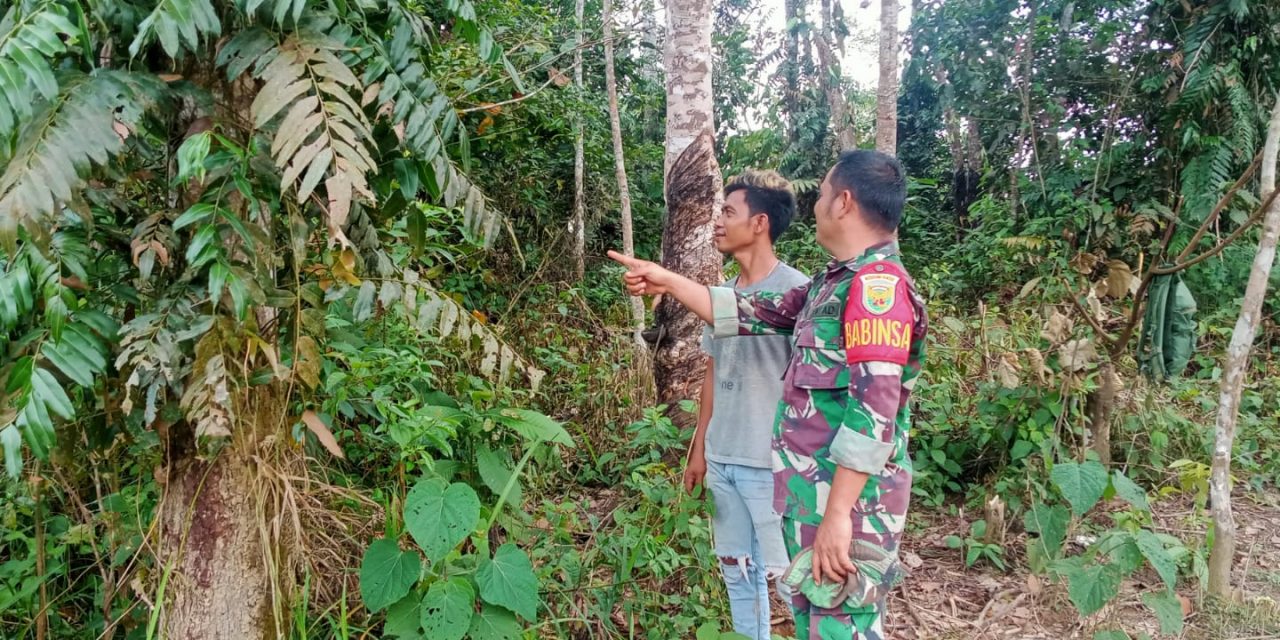 Babinsa Koramil 0420/01bta Melaksanakan Patroli Karhutlah Di Desa Binaan
