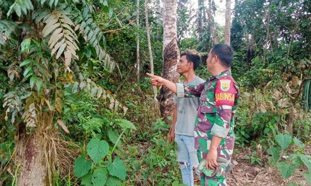 Babinsa Koramil 0420/01bta Melaksanakan Patroli Karhutlah Di Desa Binaan