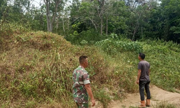 Koramil 01/Bta Melaksanakan Patroli Karhutlah Di Desa Binaan