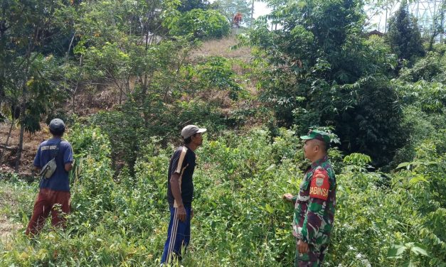 Sembari Patroli Babinsa Sosialisasi Bahaya Karhutla