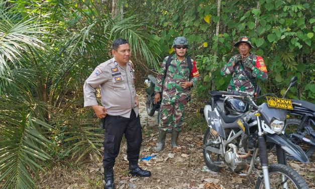 Babinsa Laksanakan Patroli Karhutla bersama warga di desa Di Wilayah Binaan