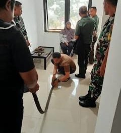 Bentuk Kepercayaan Terhadap TNI, Warga Palembang Serahkan Ratusan Amunisi Dan Magazen Senapan M16A1 Ke Kodim Palembang