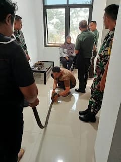 Bentuk Kepercayaan Terhadap TNI, Warga Palembang Serahkan Ratusan Amunisi Dan Magazen Senapan M16A1 Ke Kodim Palembang