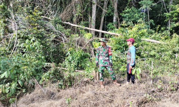 Babinsa Koramil 420+04/Sarolangun Melaksanakan Kegiatan Patroli Karhutla Bersama Warga Binaan