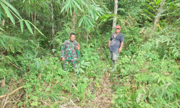 Babinsa Koramil420-01/Batang Asai Melaksanakan Patroli Karhutla.
