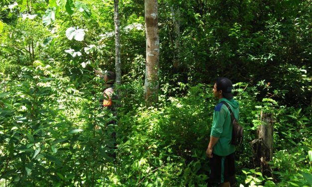 Babinsa Lakukan Patroli Gun Bencal Dan Patroli Karhutla Di Wilayah Desa Binaan