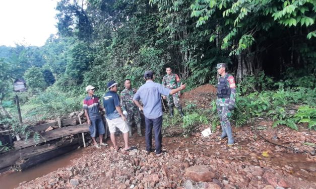 Babinsa Koramil 420-01/Batang Asai Pimpin Patroli Karhutla
