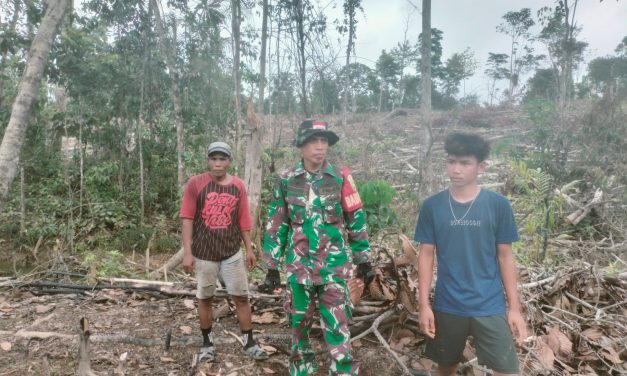 Babinsa Laksanakan Patroli Karhutla bersama warga di desa Di Wilayah Binaan