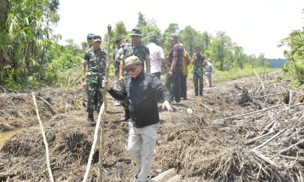 Auditor Kementan RI Tinjau Oplah Wilayah Kodim 0426/Tulang Bawang