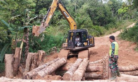 Anggota Satgas TMMD ke 122 Kodim Sarko Mulai Bangun Jembatan Darurat