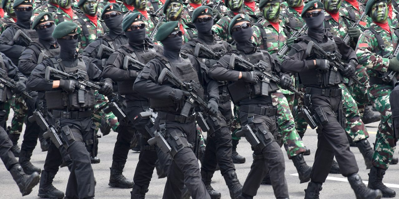 Defile Pasukan dan Alutsista Meriahkan HUT Ke-79 TNI