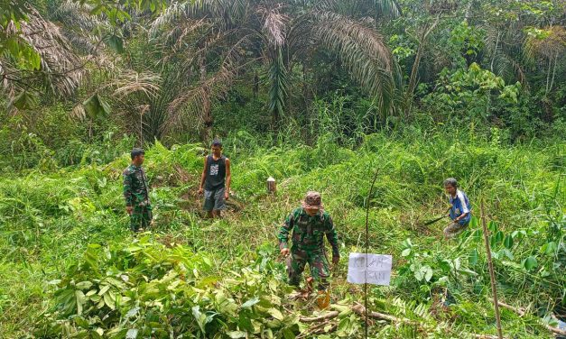 Program Ketahanan Pangan TMMD ke 122 Kodim 0420 Sarko Siap Wujudkan Kebutuhan Pangan Berkelanjutan di Desa Bedeng Rejo