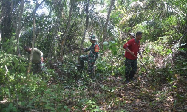 Anggota Satgas TMMD ke 122 Kodim 0420 Sarko Mencari Kayu Untuk Pembuatan Kandang Kambing