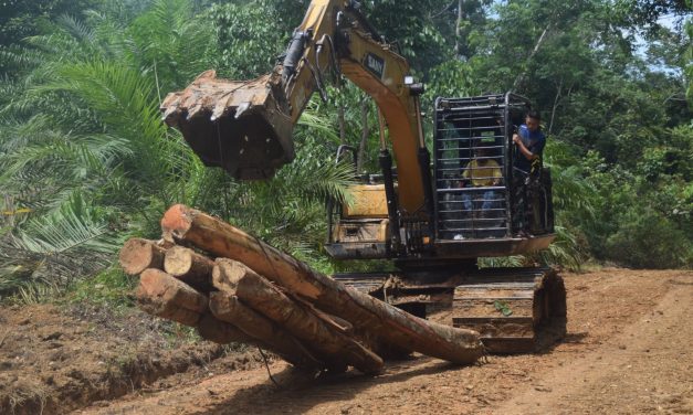 Tak Ada Rotan Akar Pun Jadi, Anggota Satgas TMMD ke 122 Kodim 0420 Sarko Gunakan Alat Berat Untuk Mobilisasi Kayu Jembatan Darurat