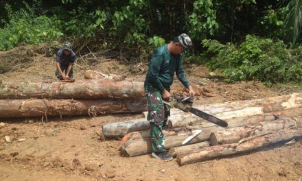 Aksi Nyata Satgas TMMD Ke-122 Kodim 0420 Sarko Siapkan Material Jembatan Darurat Dengan Potong Kayu