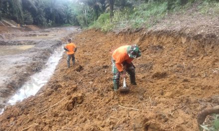 Pembangunan Program Ketahanan Pangan Terus Dikebut Anggota Satgas TMMD ke 122 Kodim Sarko