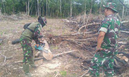 Anggota Satgas TMMD ke 122 Kodim Sarko Siapkan Kayu Penahan Gorong-gorong Untuk Jembatan Darurat