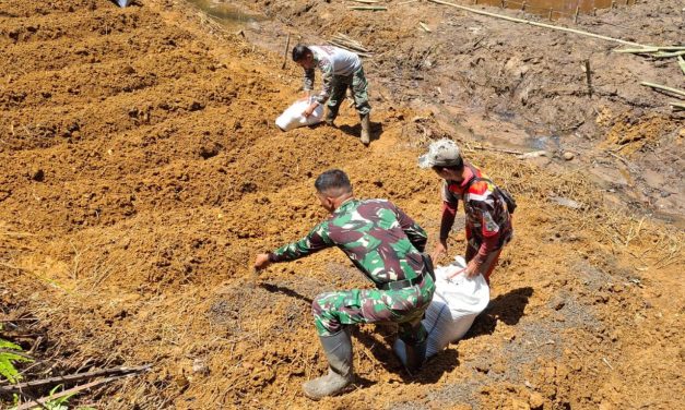 Anggota Satgas TMMD ke 122 Kodim 0420 Sarko dan Masyarakat Berkolaborasi Ciptakan Lahan Pertanian Berkelanjutan