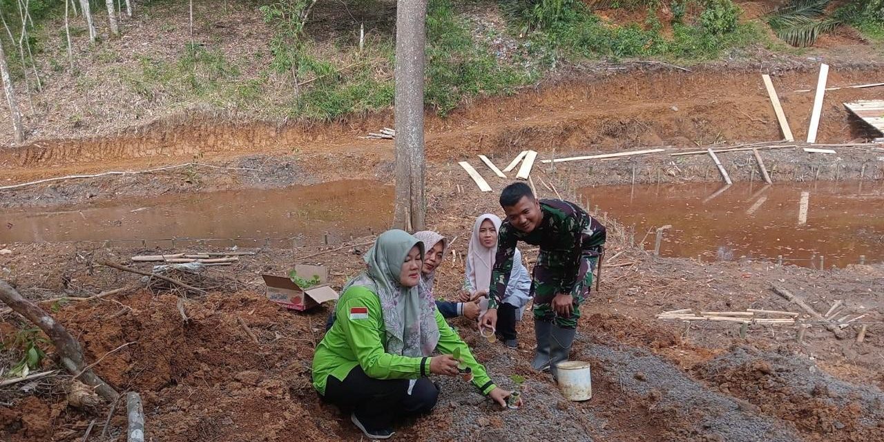 Anggota Satgas TMMD ke 122 Kodim 0420 Sarko dan Emak-emak Tanam Cabai