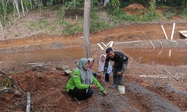 Anggota Satgas TMMD ke 122 Kodim 0420 Sarko dan Emak-emak Tanam Cabai