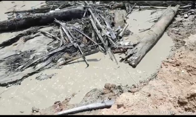 Kurniadi Hidayat, Mohon Sterilkan Area Sekitar Bandara Bungo Dari Aktivitas PETI