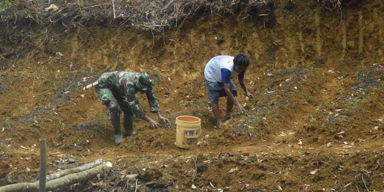 Dibantu Warga, Anggota Satgas TMMD Menabur Pupuk Pada Tanaman Cabai