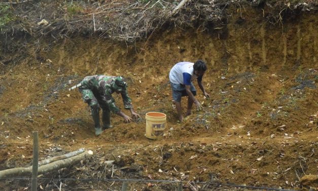 Dibantu Warga, Anggota Satgas TMMD Menabur Pupuk Pada Tanaman Cabai