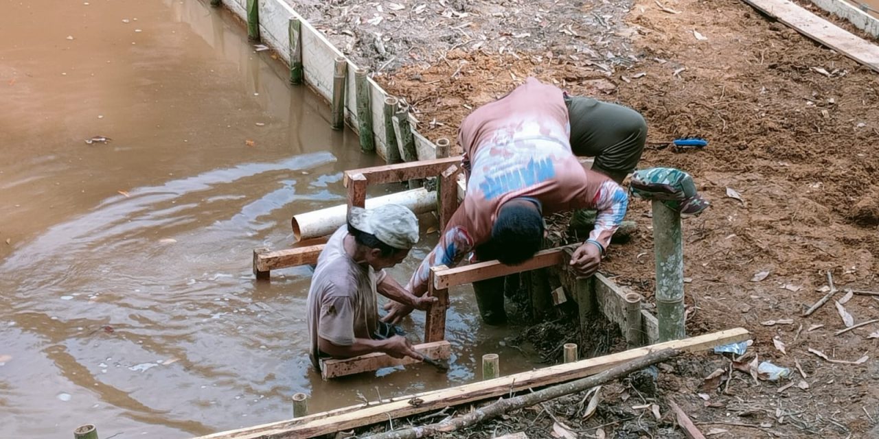 Pengerjaan Pembuatan Kolam Ikan Oleh Satgas TMMD ke 122 Kodim 0420 Sarko Sudah Finishing