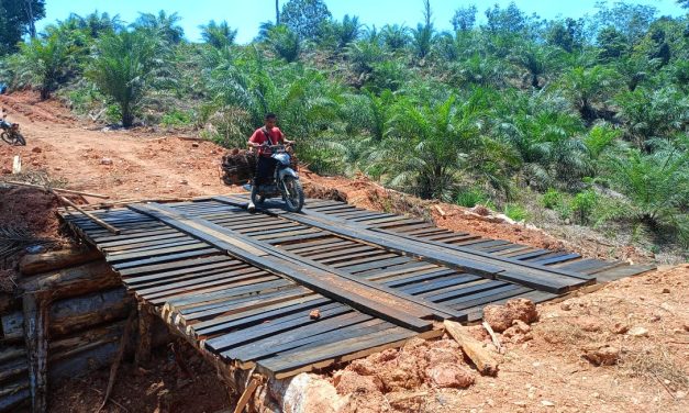 Jembatan Darurat Dititik III Rampung, Warga Leluasa Mengeluarkan Hasil Kebun