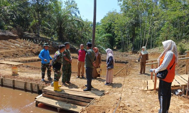 Dinas Perikanan Kunjungi Lokasi Hanpangan Yang Dibangun Satgas TMMD Ke-122 Kodim 0420/Sarko