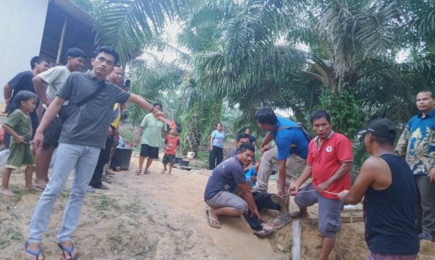 Lanjut kasus pemukulan pengeroyokan Manalu di Dusun tepian Napal