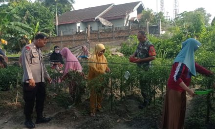 Polresta Jambi Melaksanakan Pengecekan Lahan Tidur Yang Akan Dijadikan Lahan Ketahanan Pangan
