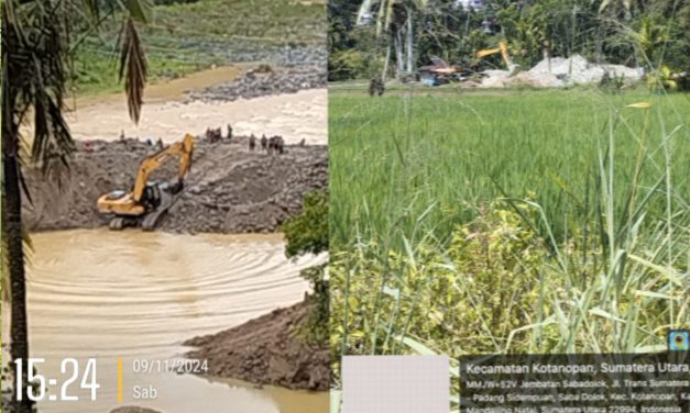 PETI kota Nopan Desa Ampung siala kecamatan Batang natal Operasi lagi, Diminta kepada Kapolres Mandailing Natal Tindak Para Pelaku