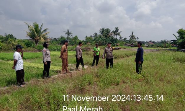 Dukung Asta Cita Presiden Prabowo, Kasat Binmas Polresta Jambi Cek Lokasi Ketahanan Pangan di RT 35 Palmerah