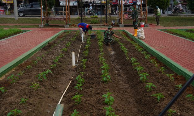 Kodam II/Swj Bangun ‘Taman Aspirasi’, Dukung Program Pemerintah Dapur Gizi Sehat BGN.