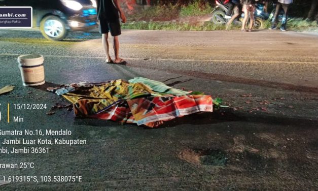 Tragis Seorang Pejalan Kaki Tewas Terlindas Truck Tronton Di Desa Mendalo Darat.