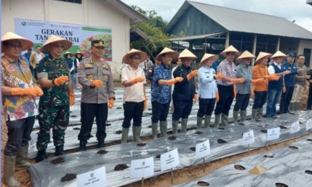 Kodam II/Sriwijaya Dukung Gerakan Tanam Cabai untuk Kendalikan Inflasi di Sumsel