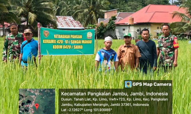 Koramil 420-07/Sei Manau Berperan Aktif dalam Peninjauan dan Pembinaan Lahan ketahanan Pangan Komoditi Padi Sawah