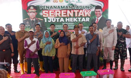 Dukung Swasembada Pangan, Pangdam II/Sriwijaya dan Kapolda Sumsel Tanam Jagung Serentak di Ogan Ilir