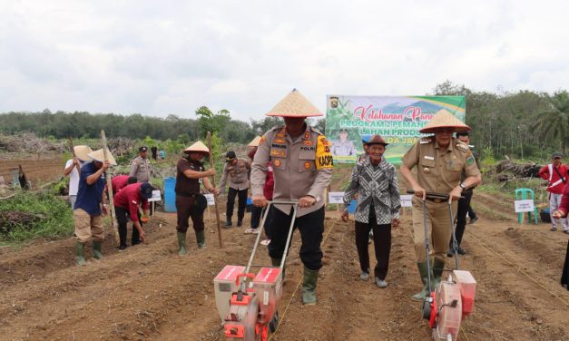 Polres Tebo Bersama Pemda Tanam Jagung Serentak Dukung Ketahanan Pangan